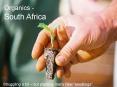Organics South Africa PowerPoint PPT Presentation