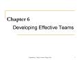 Developing Effective Teams PowerPoint PPT Presentation