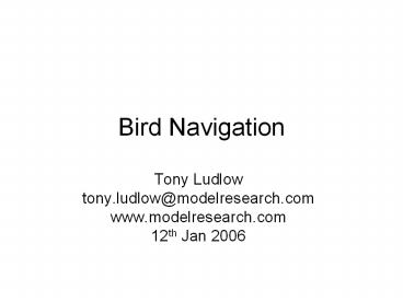 Bird%20Navigation
