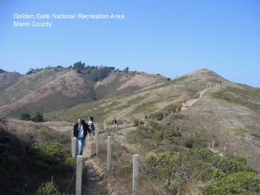 The Physical Architecture of Soils