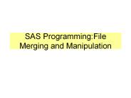 SAS Programming:File Merging and Manipulation