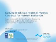 Danube-Black Sea Regional Projects 