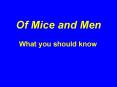 Of Mice and Men PowerPoint PPT Presentation