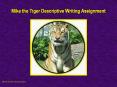 Mike the Tiger Descriptive Writing Assignment PowerPoint PPT Presentation