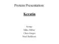 Protein Presentation: Keratin PowerPoint PPT Presentation
