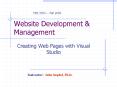 Website Development PowerPoint PPT Presentation