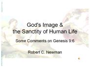 God's Image