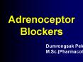 Adrenoceptor Blockers PowerPoint PPT Presentation