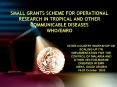 SMALL GRANTS SCHEME FOR OPERATIONAL RESEARCH IN TROPICAL AND OTHER COMMUNICABLE DISEASES WHOEMRO PowerPoint PPT Presentation