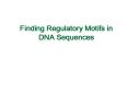 Finding Regulatory Motifs in DNA Sequences PowerPoint PPT Presentation