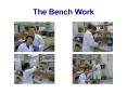 The Bench Work PowerPoint PPT Presentation