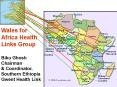 Wales fo Africa Health Links Group PowerPoint PPT Presentation