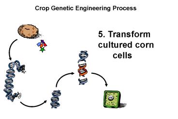 presentation player overlay