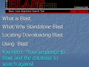 What is Blast