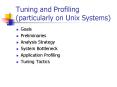 Tuning and Profiling particularly on Unix Systems PowerPoint PPT Presentation