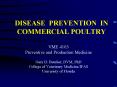 DISEASE PREVENTION IN COMMERCIAL POULTRY PowerPoint PPT Presentation