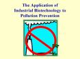 The Application of Industrial Biotechnology to Pollution Prevention PowerPoint PPT Presentation