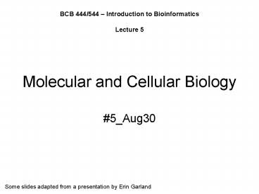 Molecular and Cellular Biology