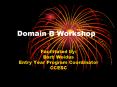 Domain B Workshop PowerPoint PPT Presentation
