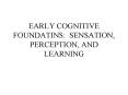EARLY COGNITIVE FOUNDATINS: SENSATION, PERCEPTION, AND LEARNING PowerPoint PPT Presentation