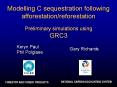 Modelling C sequestration following afforestation/reforestation Preliminary simulations using GRC3 PowerPoint PPT Presentation