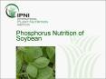 Phosphorus Nutrition of Soybean PowerPoint PPT Presentation