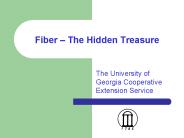 Fiber The Hidden Treasure