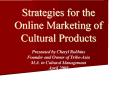 Strategies for the Online Marketing of Cultural Products PowerPoint PPT Presentation