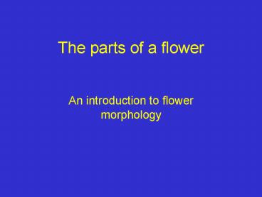 The parts of a flower presentation | free to view