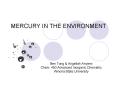MERCURY IN THE ENVIRONMENT PowerPoint PPT Presentation
