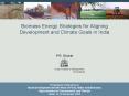 Biomass Energy Strategies for Aligning Development and Climate Goals in India PowerPoint PPT Presentation