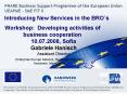 Introducing New Services in the BROs Workshop: Developing activities of business cooperation 10.07.2 PowerPoint PPT Presentation
