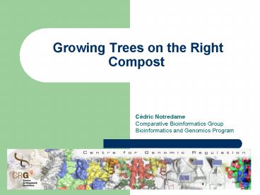 Growing Trees on the Right Compost
