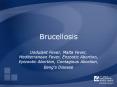Brucellosis PowerPoint PPT Presentation