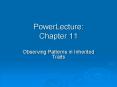 PowerLecture: Chapter 11 PowerPoint PPT Presentation