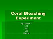 Coral Bleaching Experiment