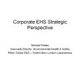 Corporate EHS Strategic Perspective PowerPoint PPT Presentation