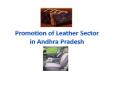 Promotion of Leather Sector PowerPoint PPT Presentation