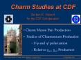 Charm Studies at CDF PowerPoint PPT Presentation