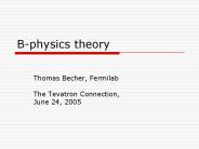Bphysics theory