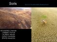 Soils PowerPoint PPT Presentation