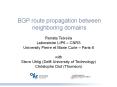 BGP route propagation between neighboring domains PowerPoint PPT Presentation