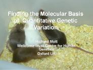 Finding the Molecular Basis of Quantitative Genetic Variation