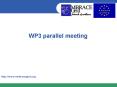 WP3 parallel meeting PowerPoint PPT Presentation