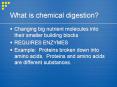 What is chemical digestion PowerPoint PPT Presentation