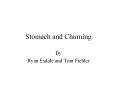 Stomach and Churning PowerPoint PPT Presentation