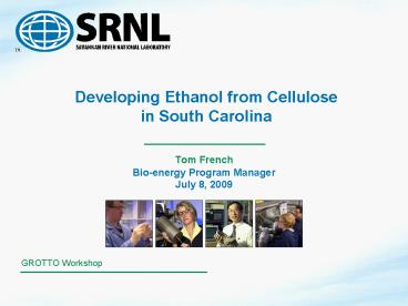 Developing Ethanol from Cellulose in South Carolina