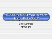 iZoom: A Better Way to View Large Data Sets