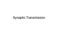 Synaptic Transmission PowerPoint PPT Presentation