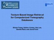 Texture-Based Image Retrieval for Computerized Tomography Databases